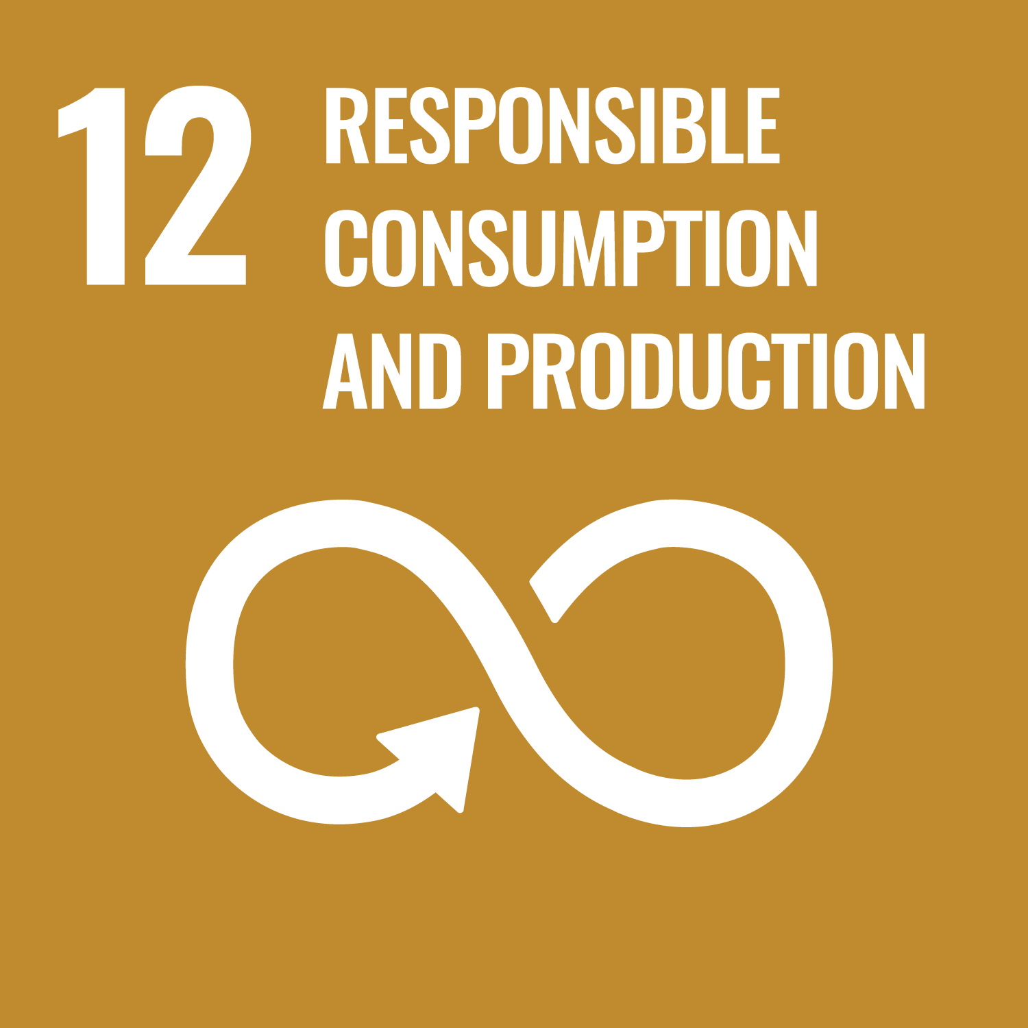 12. responsible consumption & production