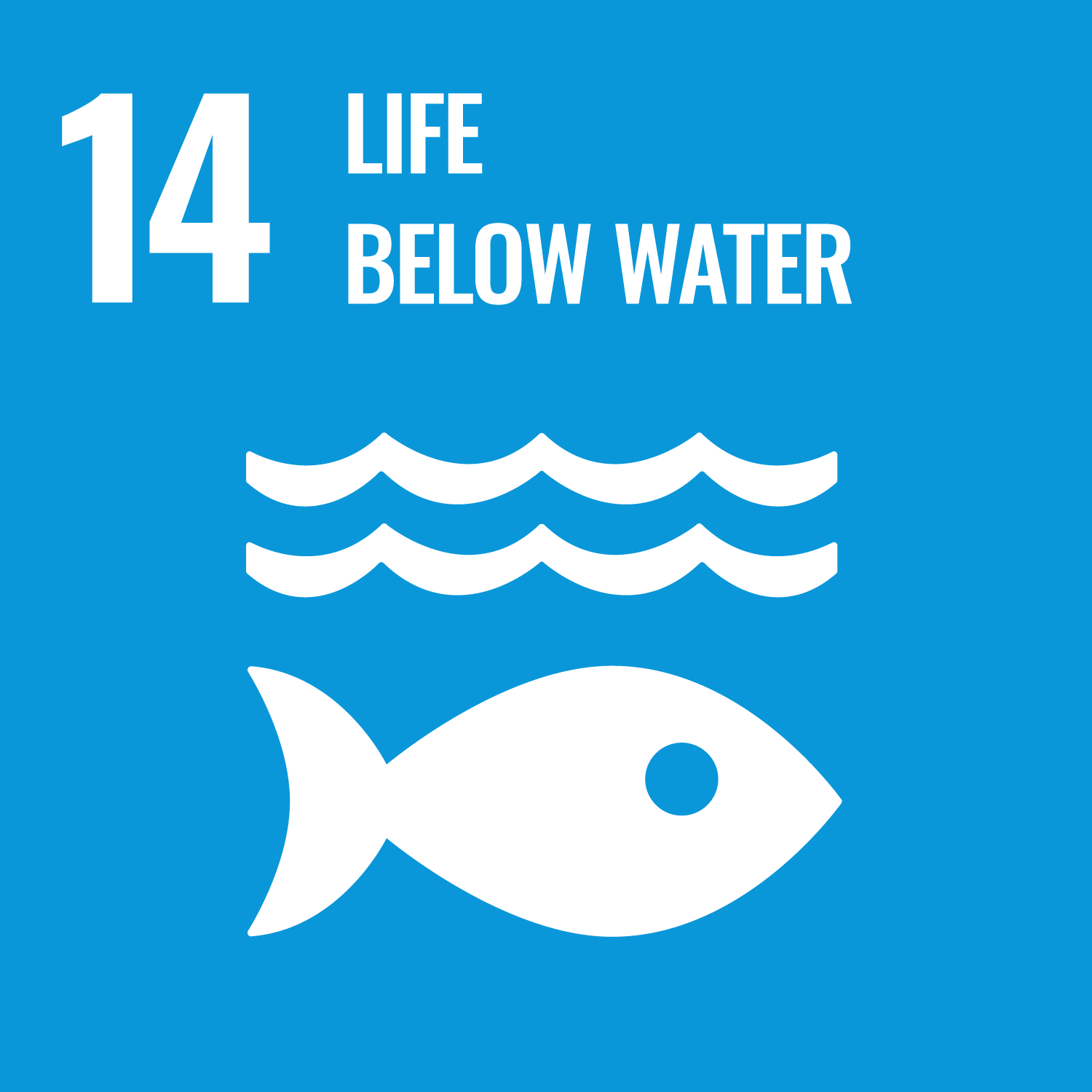 14. life below water