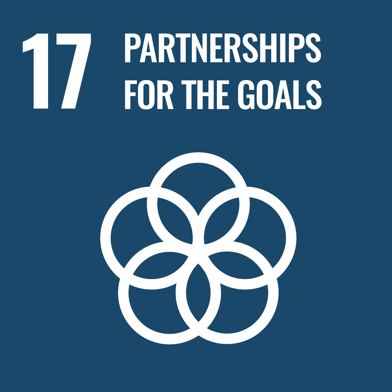 17. partnerships for the goals