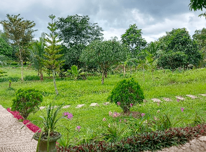 Walkways of the Farm